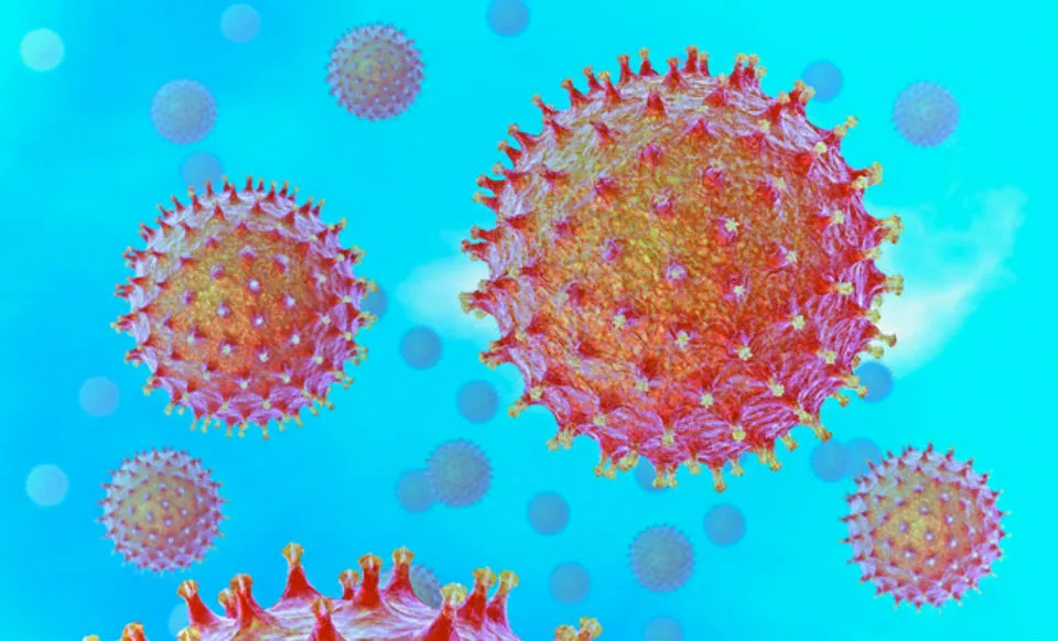 Prevenzione e controllo dell'influenza: raccomandazioni per la stagione 2024-2024 Prevenzione e controllo dell'influenza: raccomandazioni per la stagione 2024-2024