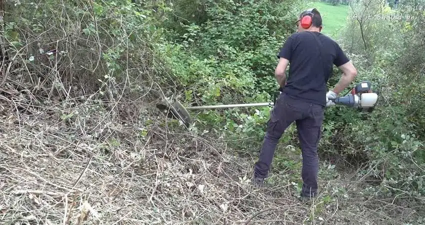 Prescrizioni comunali antincendio e per la manutenzione e pulizia dei terreni