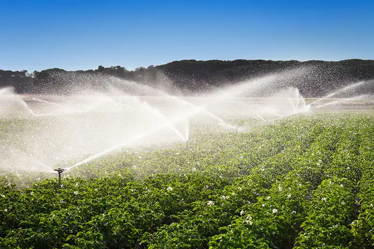 Agricoltura: Corretta modalità e istruzioni sui contenuti della comunicazione di prelievi mediante opere mobili da canali consortili Dal DPE - Dipartimento infrastrutture e trasporti - servizio genio civile L'Aquila - Prelievi a uso irriguo mediante opere (postazioni) mobili dai canali consortili